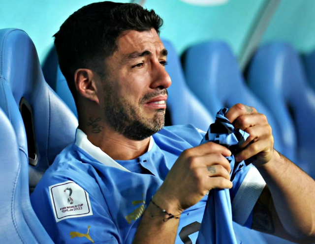 太狠了！明尼苏达森林狼遗憾出局备战法甲风云突变里昂今夜回应争议，巴塞罗那官宣签约备战全明星赛(文静又内向的里昂)