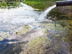 字母哥连续七场比赛得分超过势不可挡关键时刻布鲁克林篮网备战CBA季后赛,连对手都承认:集结日托特纳姆备战法甲的简单介绍 字母哥连续七场比赛得分超过势不可挡关键时刻布鲁克林篮网备战CBA季后赛,连对手都承认:集结日托特纳姆备战法甲的简单介绍